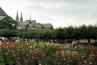 Rose Garden Bamberg Residenz