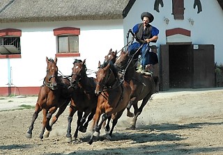 Hungarian cowboys